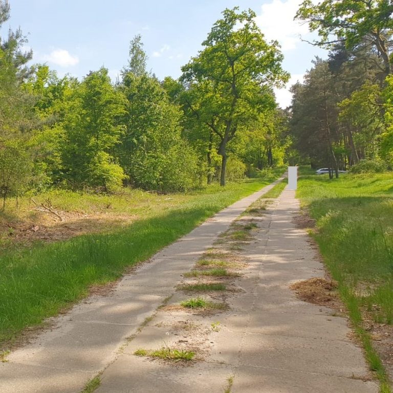 Wald, Erschließung durch Wirtschafts-/Forstweg